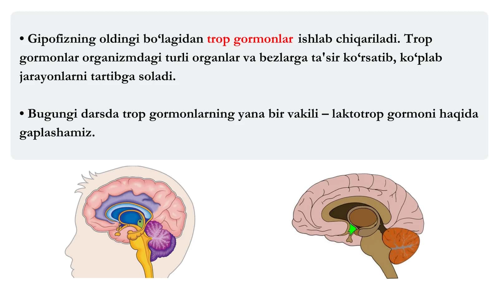 Intensiv fiziologiya 3