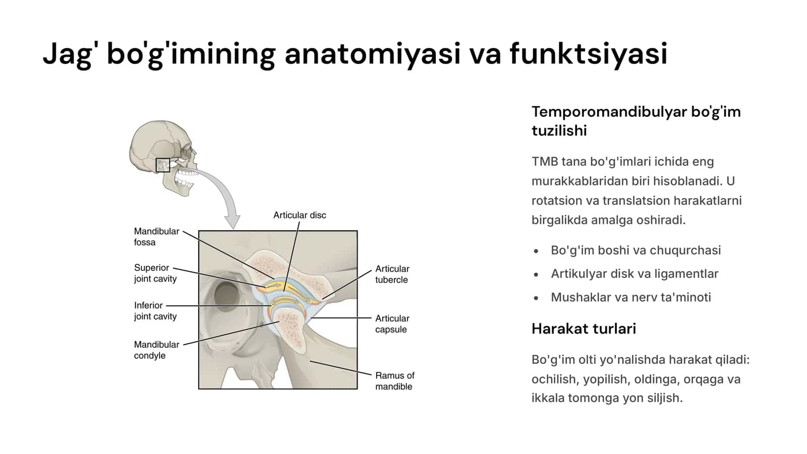 Pastki jag‘ xarakati biomexanikasi.Bonvil uchburchagi,sagital kesuv yo‘li burchagi,sagital bo‘g‘im yo‘li burchagi. 3