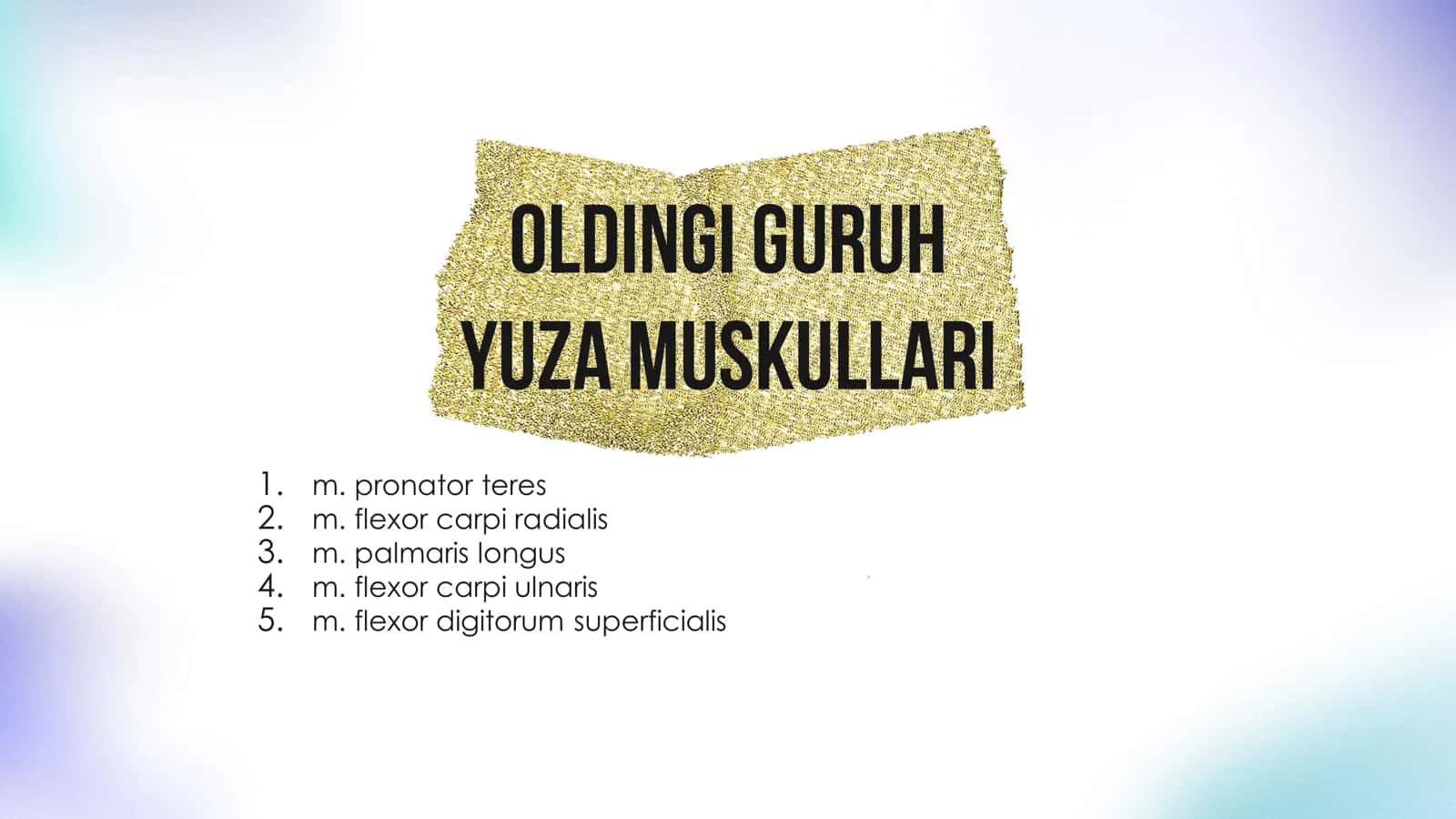Anatomiya Qoʻl muskullari 3