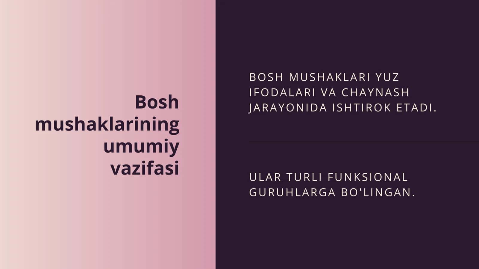 BO'YIN MUSHAKLARI BOSHNI HARAKATLANTIRISH V A USHLAB TURISHDA MUHIM ROL O'YNAYDI 3