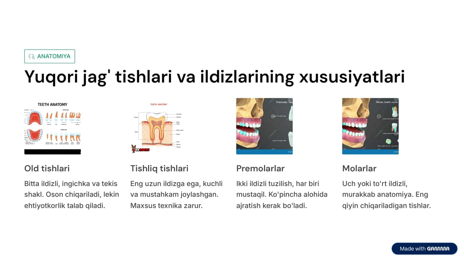 YUqоri jаg’ tish ildizlаrini оlish texnikаsi. Omburlarni qo’llashno o’rganish. YUqоri jаg’ tishlаri vа ildizlаrini bоr mаshinа vа dоlоtо yordаmidа оlish texnikаsi. 3