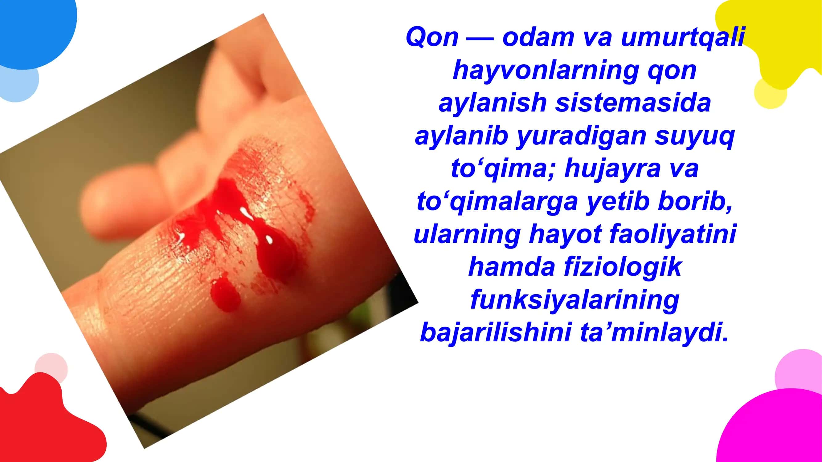 Qon aylanish tizimi yoshga bog'liq xususiyatlari 3