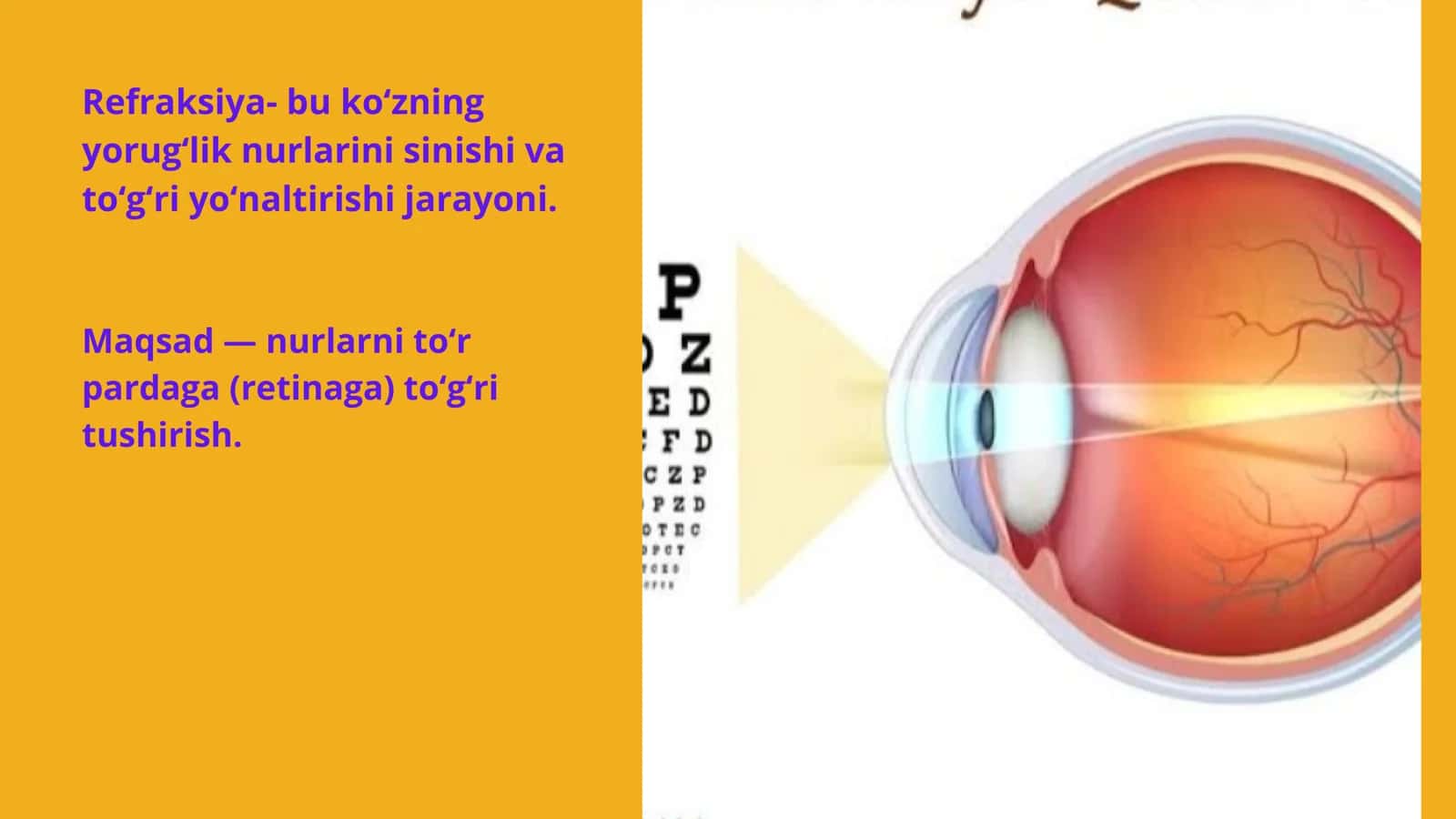 Refraksiyaning zamonaviy korreksiya va davolash usullari. 3