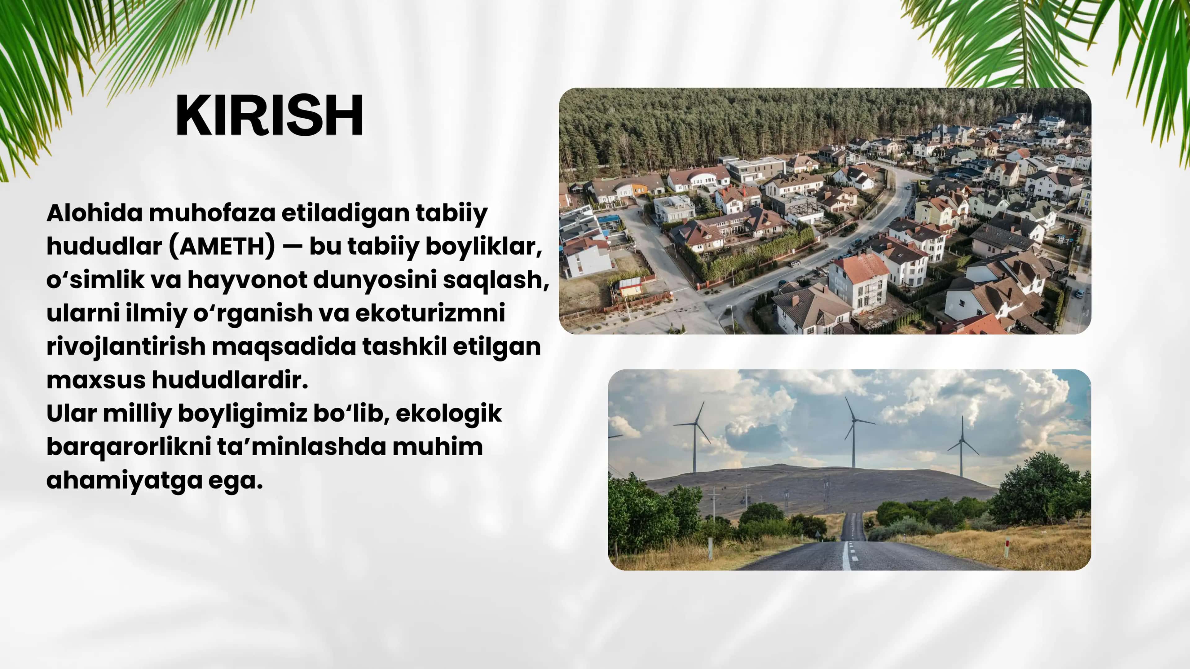 Alohida muhofaza etiladigan tabiiy hududlar (AMETH) 3