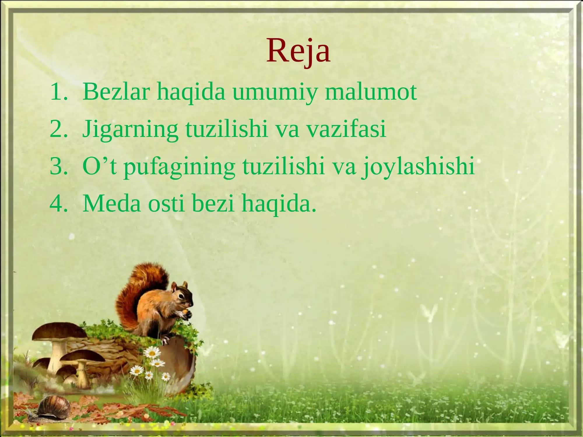 Jigar, o’t pufagi va meda osti bezi 3