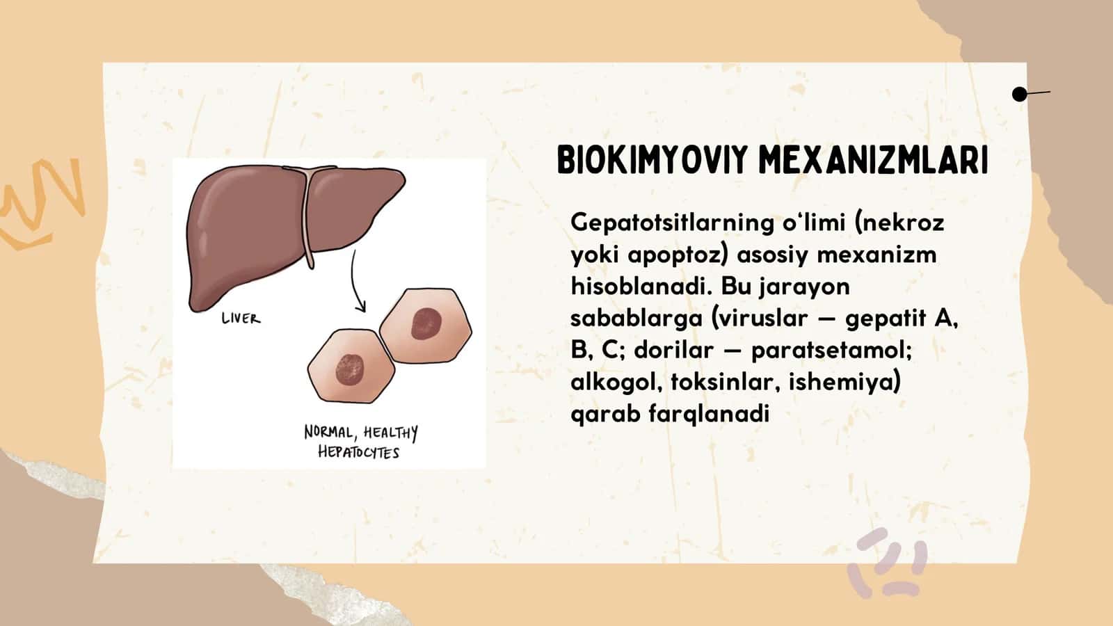 JIGAR-HUJAYRA YETISHMOVCHILIGI VA JIGAR KOMASI VUJUDGA KELISHINING BIOKIMYOVIY MEXANIZMLARI VA TASHXISI 3