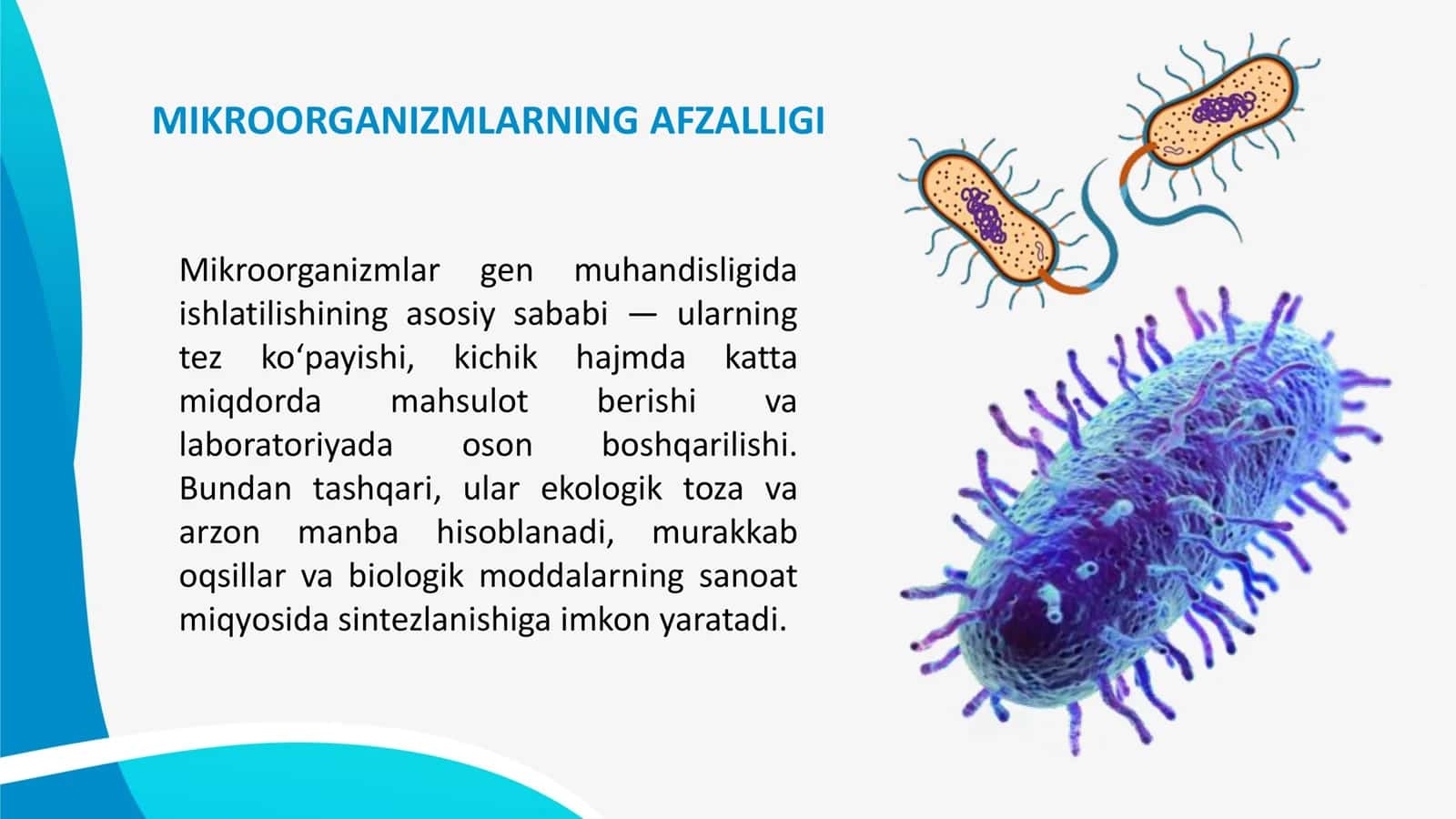 MIKROORGANIZMLARNI GEN MUHANDISLIGIDA QO‘LLANILISHI VA USHBU YO‘NALISHDA ERISHILGAN YUTUQLAR 3