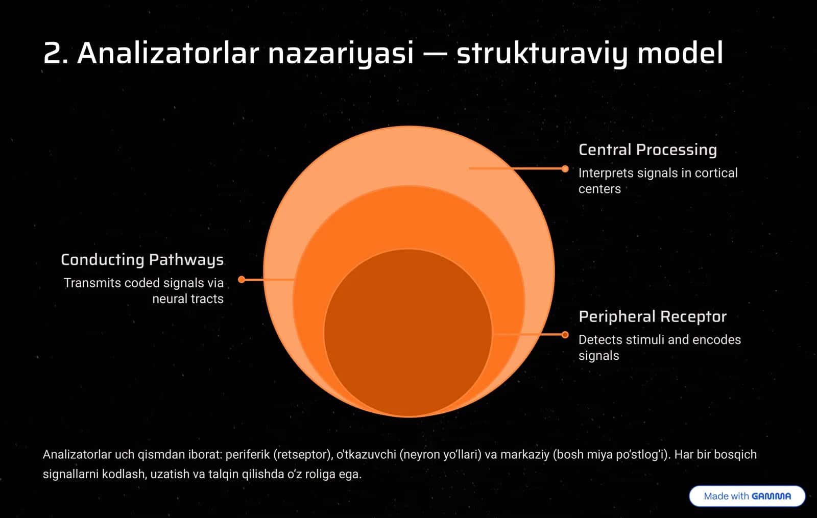 Sezgi tizimlari: nazariya, fiziologiya va amaliy ahomiyat 3