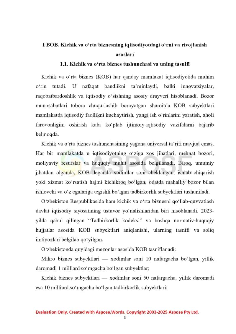 Kichik va o‘rta biznesni rivojlantirish — iqtisodiy erkinlikni ta’minlash omili sifatida 3