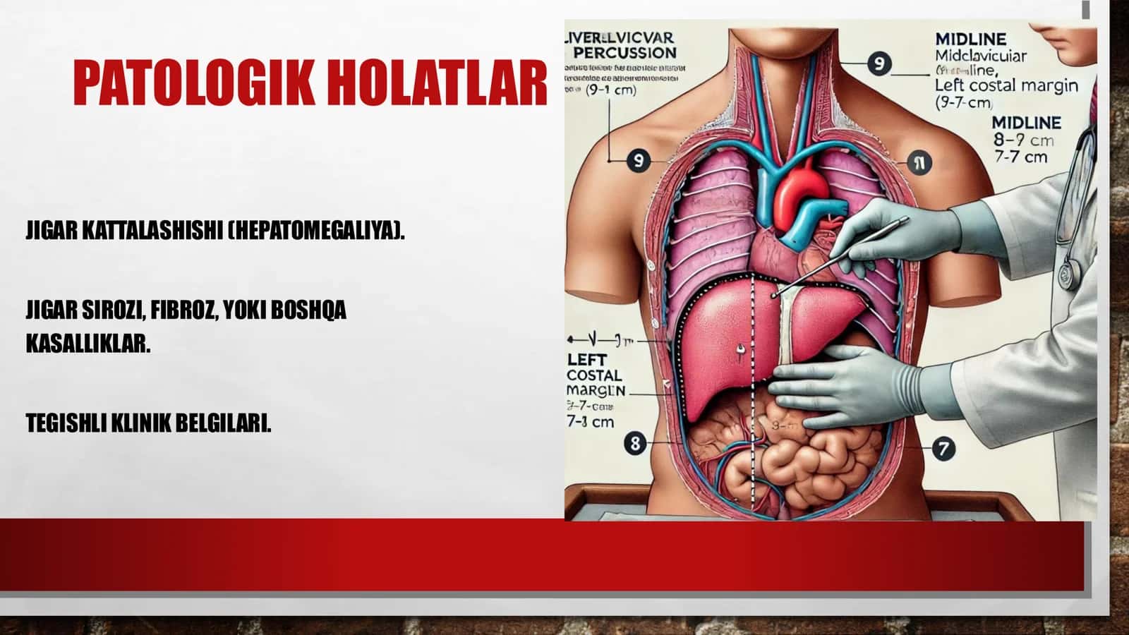 JIGARNING PALPATSIYASI VA KURLOV BOʻYICHA PERKUSSIYASI 3