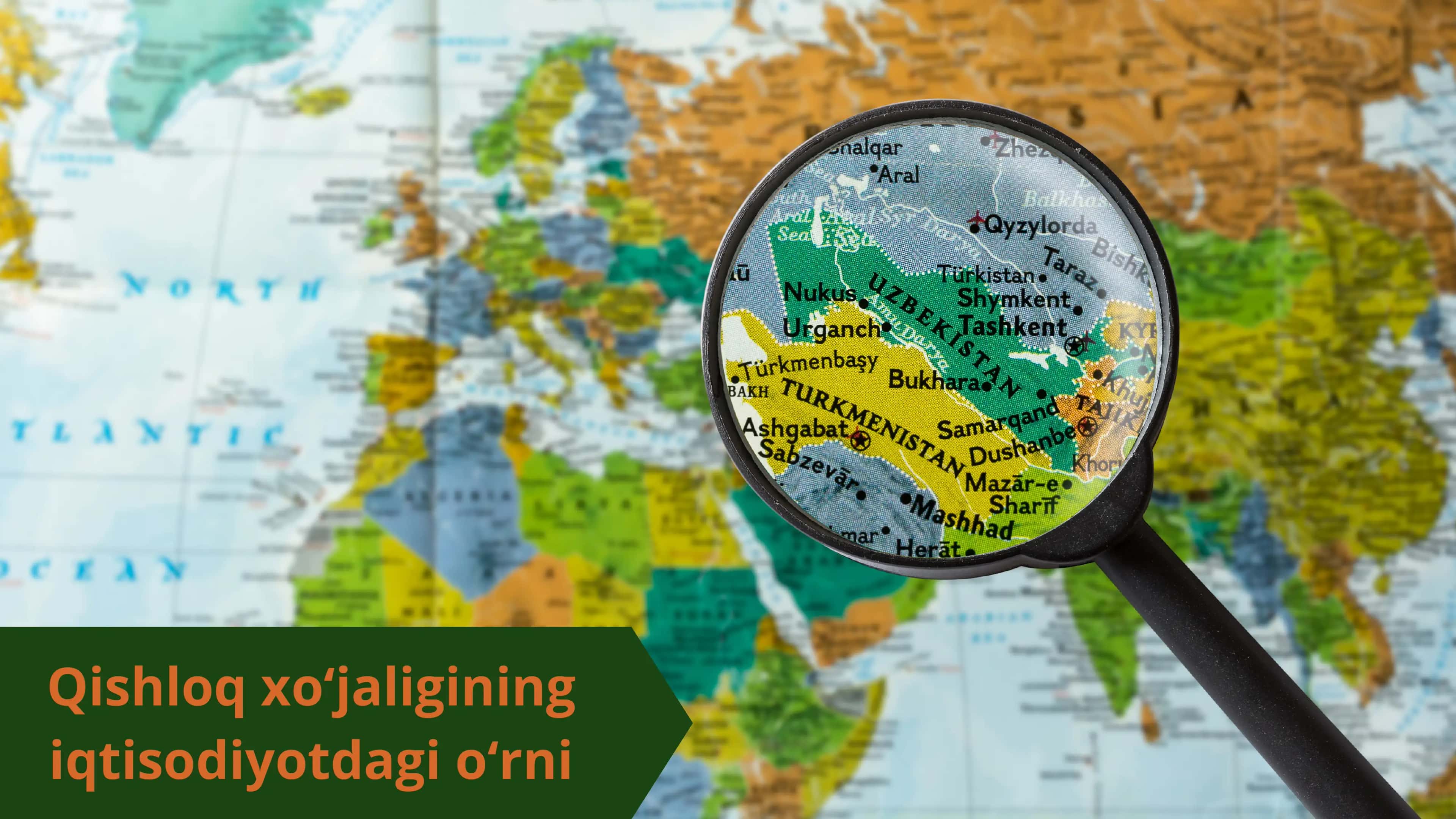 Qishloq xoʻjaligining respublika ijtimoiy iqtisodiyotida tutgan o'rni, 3