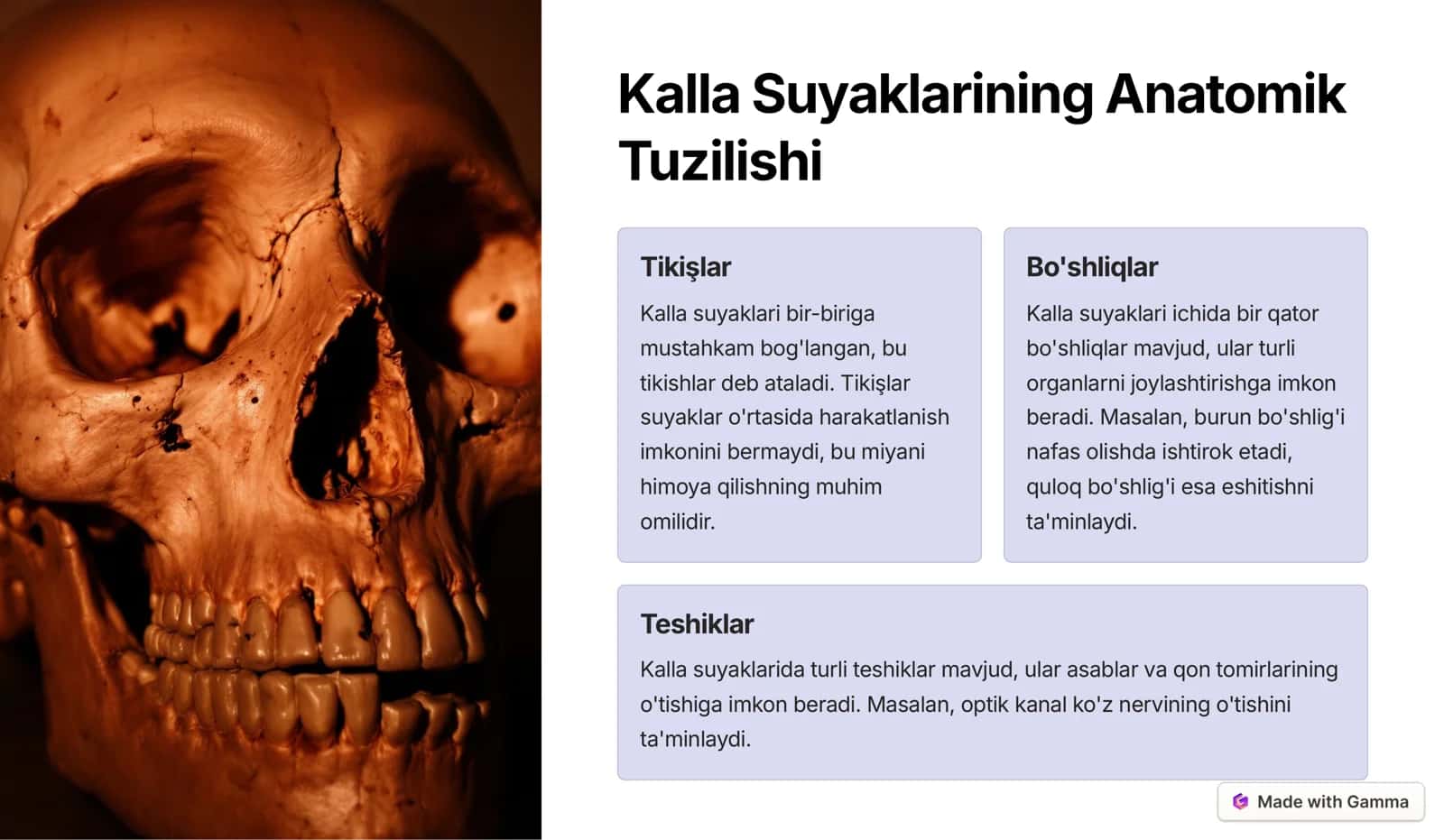 Inson Kalla Suyaklari 3