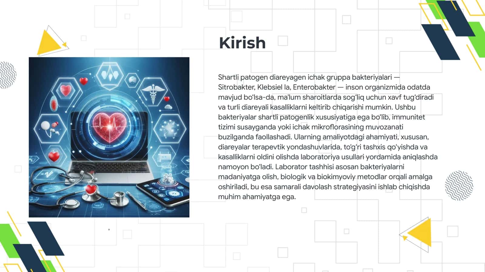 Sitrobakter, Klebsiel va Enterobakterning biologik xususiyatlari 3