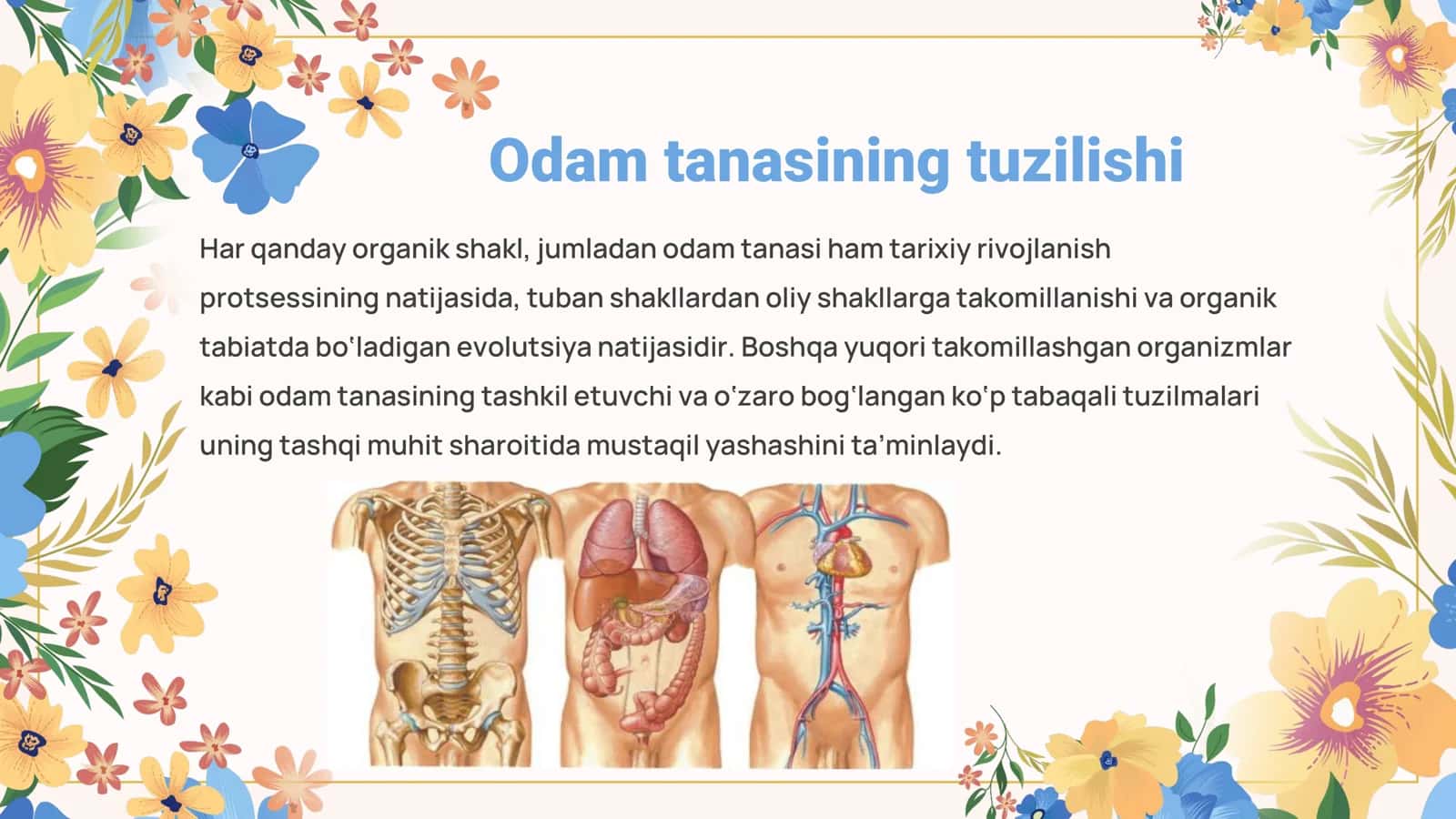 Nizomiy nomidagi TDPU Biologiya yo’nalishi 3