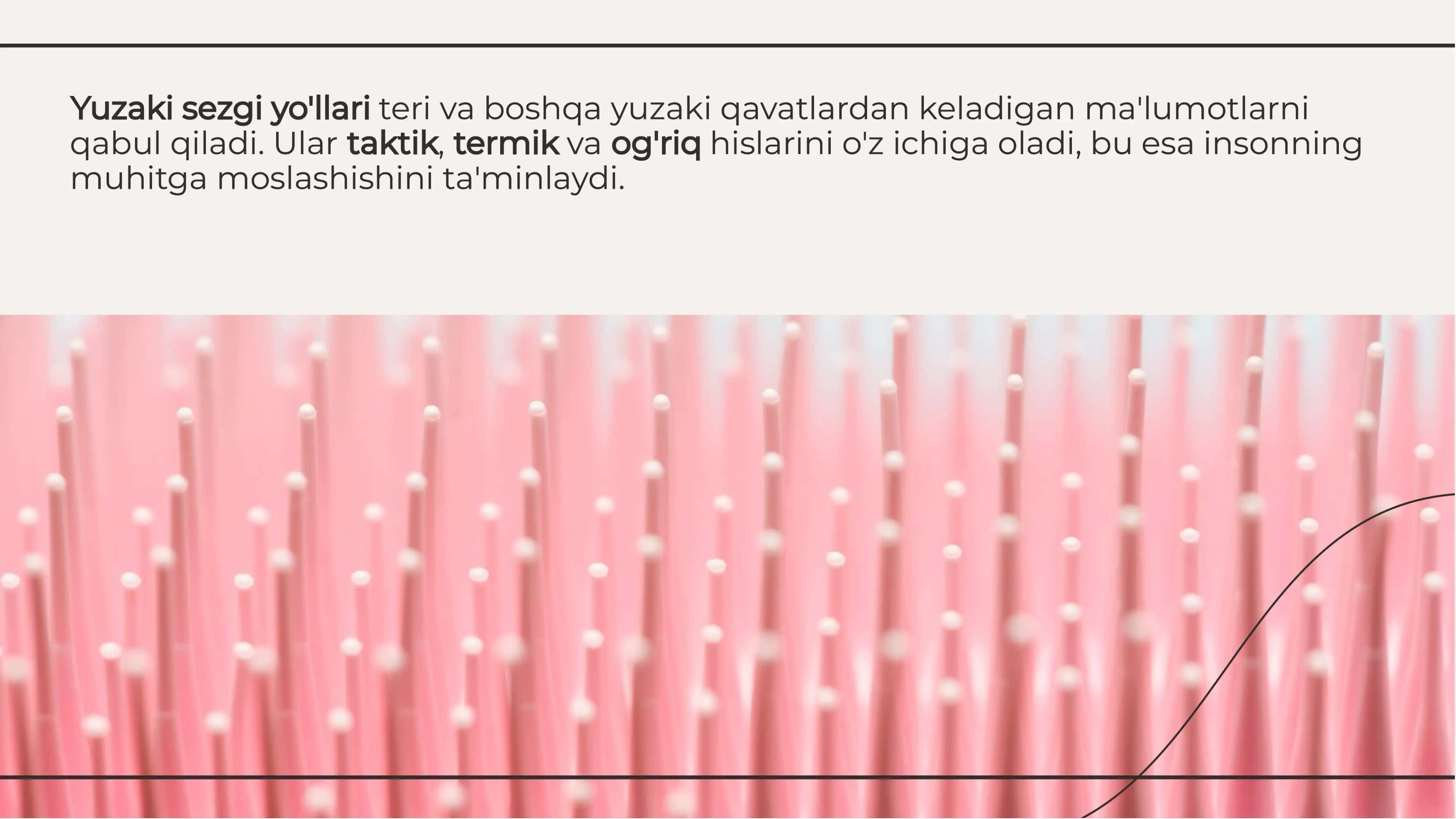 Sezgi analizatori.Yuzaki va chuqur sezgi yo'llari tuzulishi ,sxematik chizmasi, tekshirish usullari,buzilishining topik diagnostikasi 3