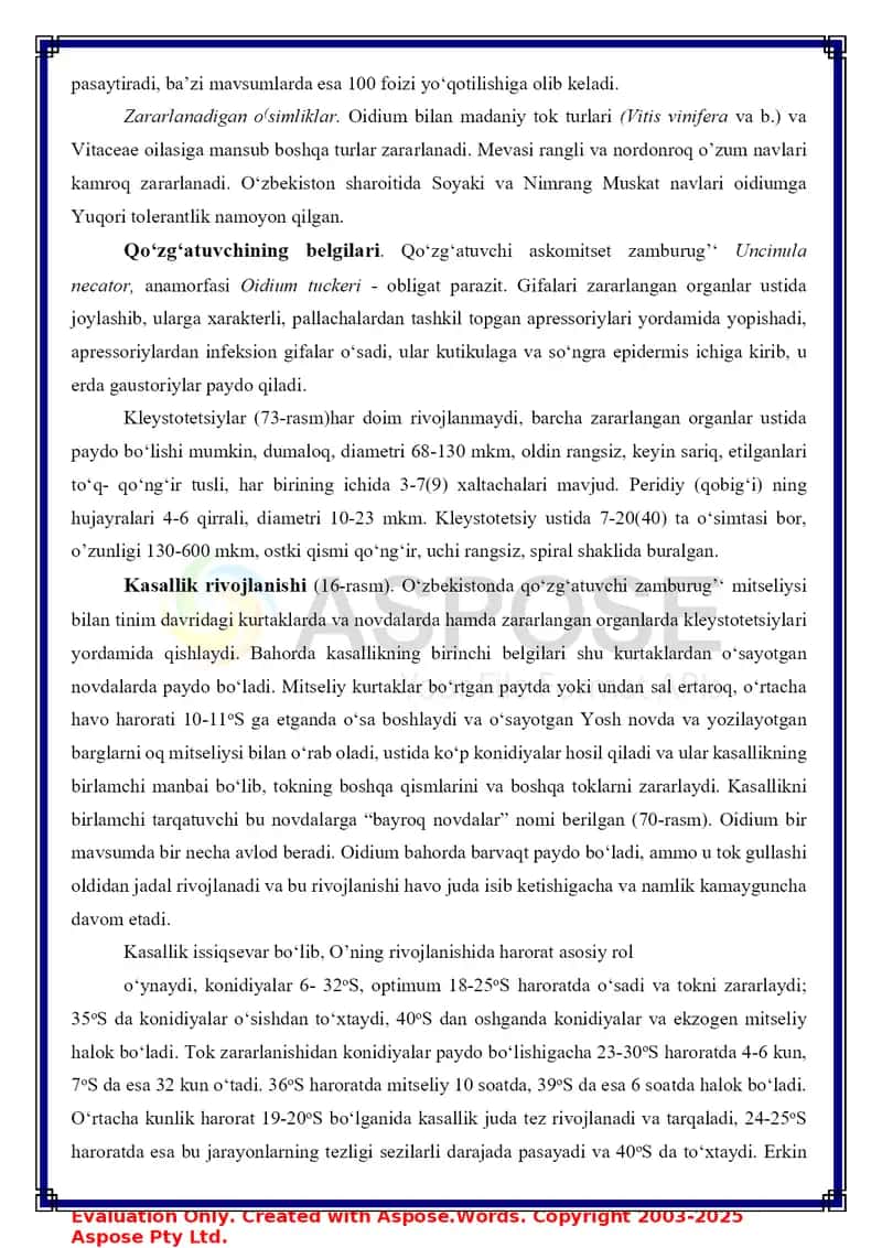 Tok va rezavor mevali ekinlarning kasalliklari va ularga qarshi kurash 3