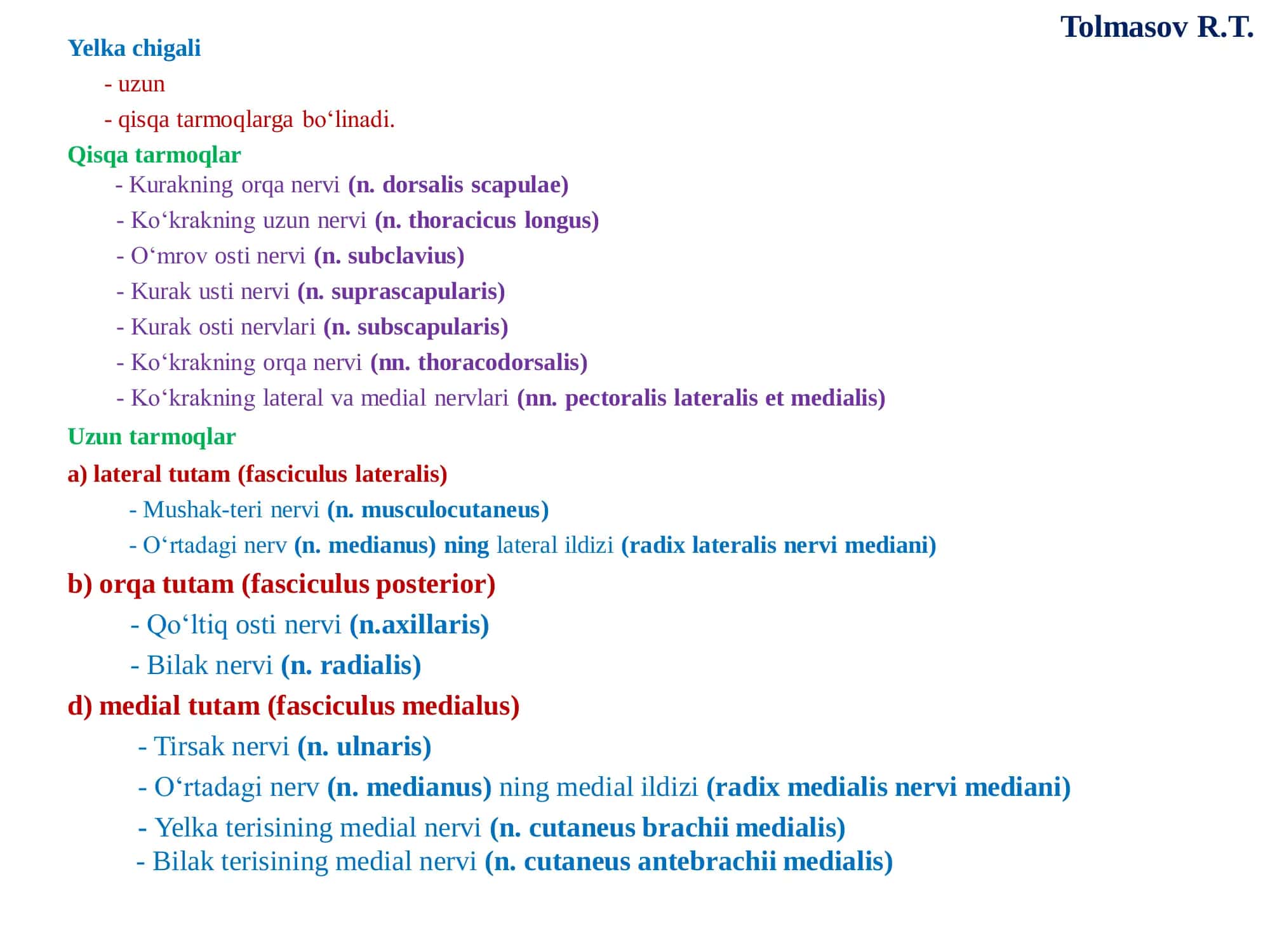 Yelka chigali 3