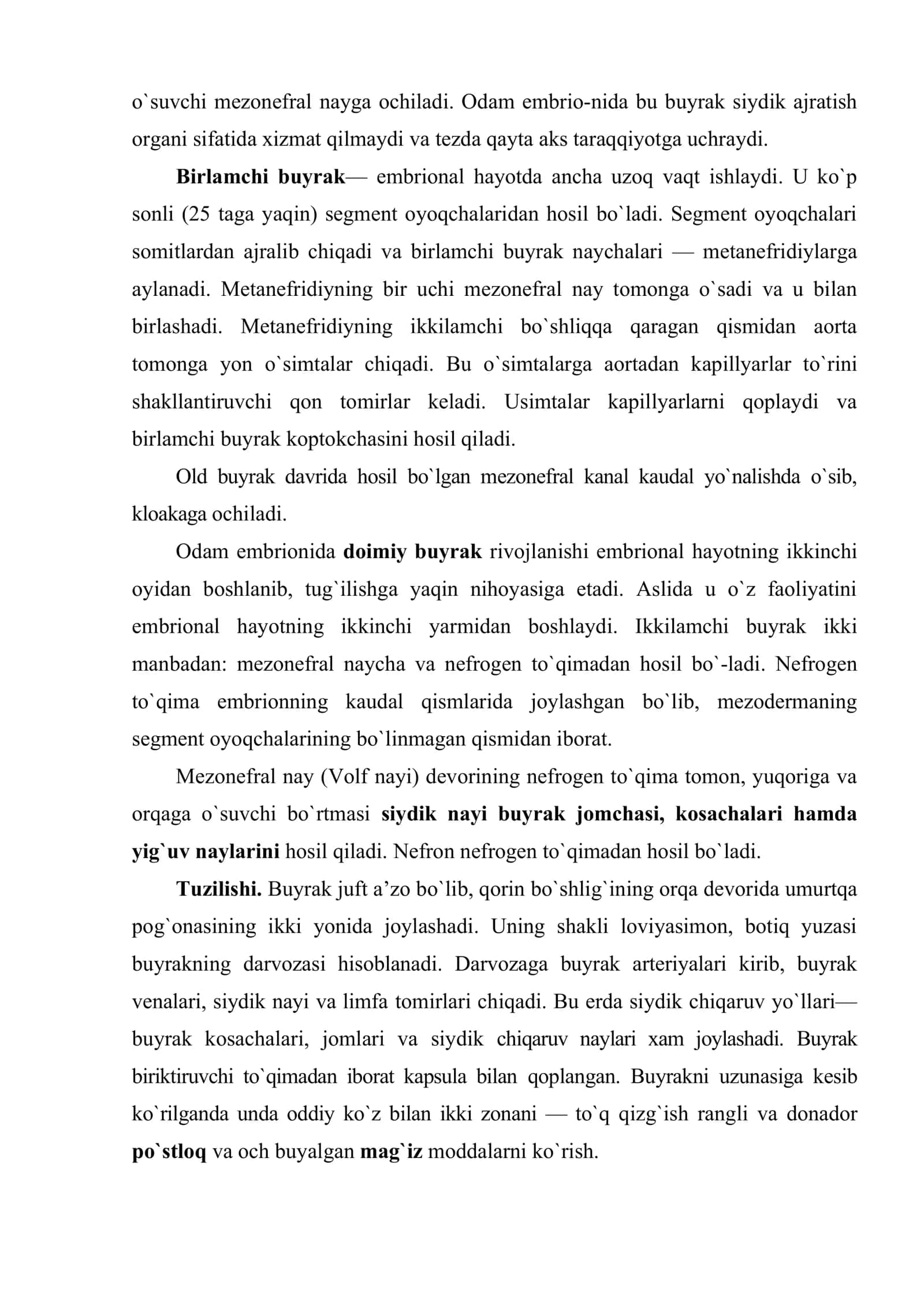 Siydik ajratish tizimi 3