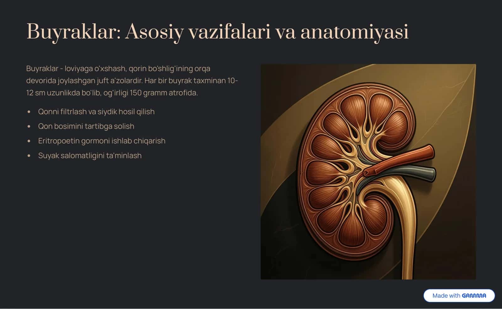 Ayirish tizimining kiruvchi a'zolarining tuzilishi va fiziologiyasi 3