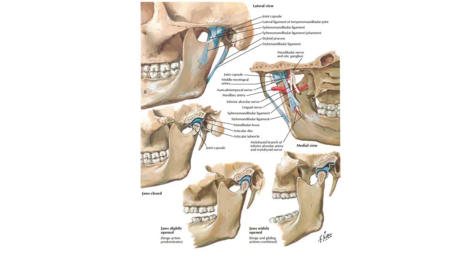 ARTROLOGIYA 3