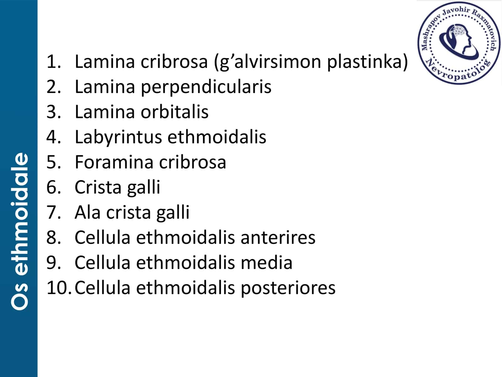 Bosh Suyaklar Anatomiyas 3