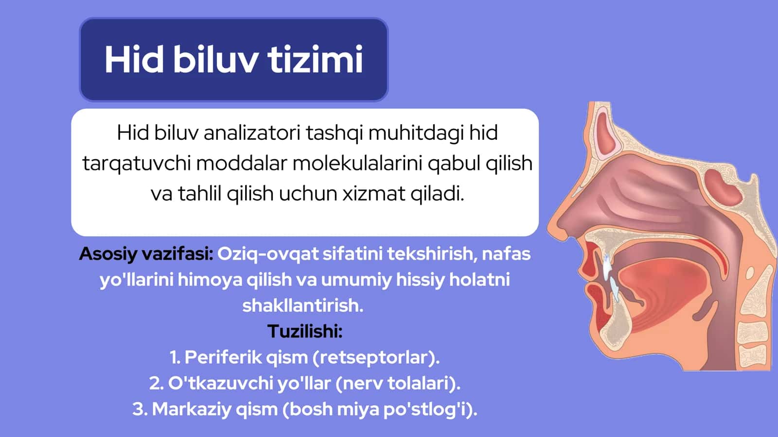 Hid biluv tizimi 3