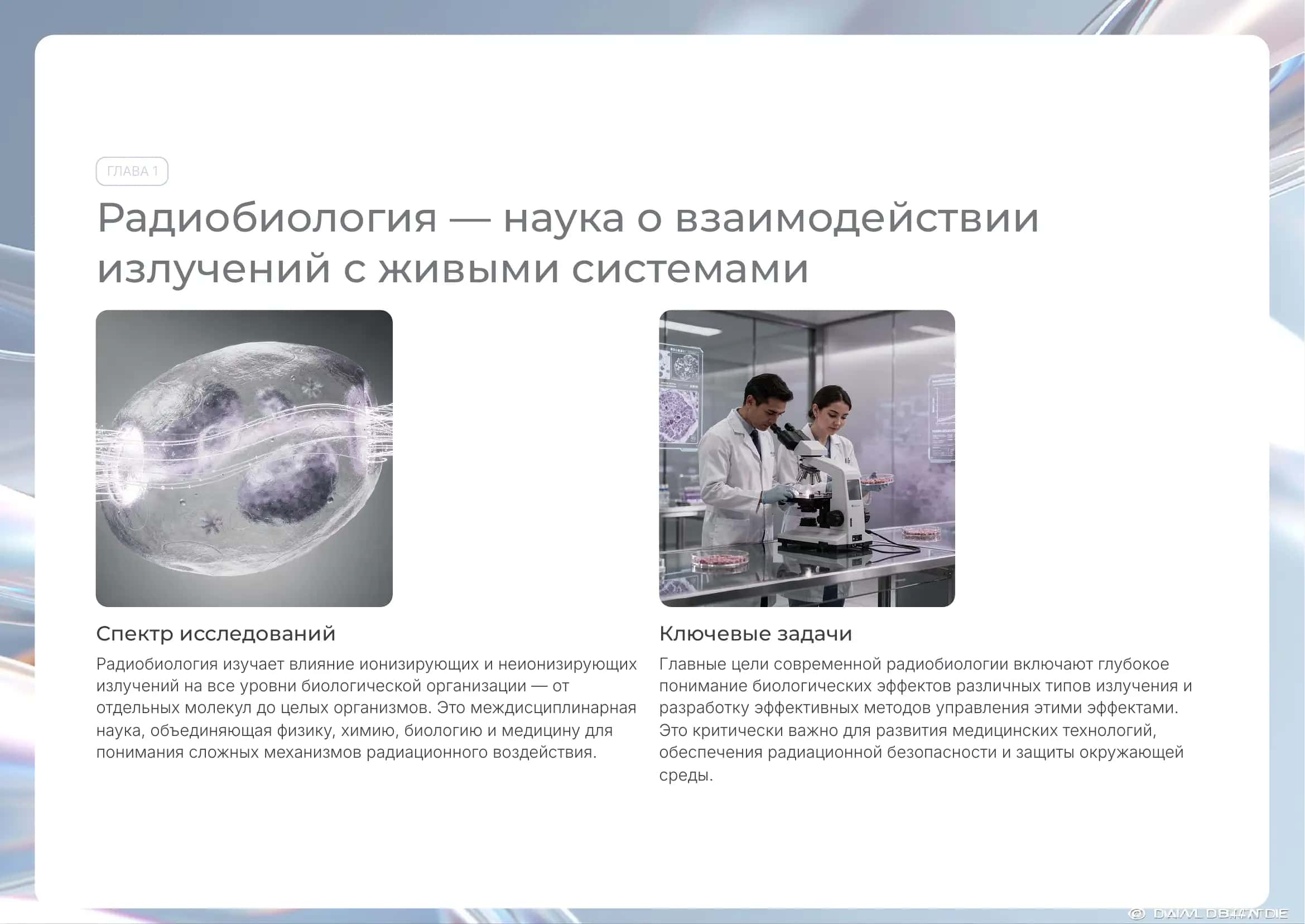 Направления дальнейших научных разработок в области радиобиологии 3