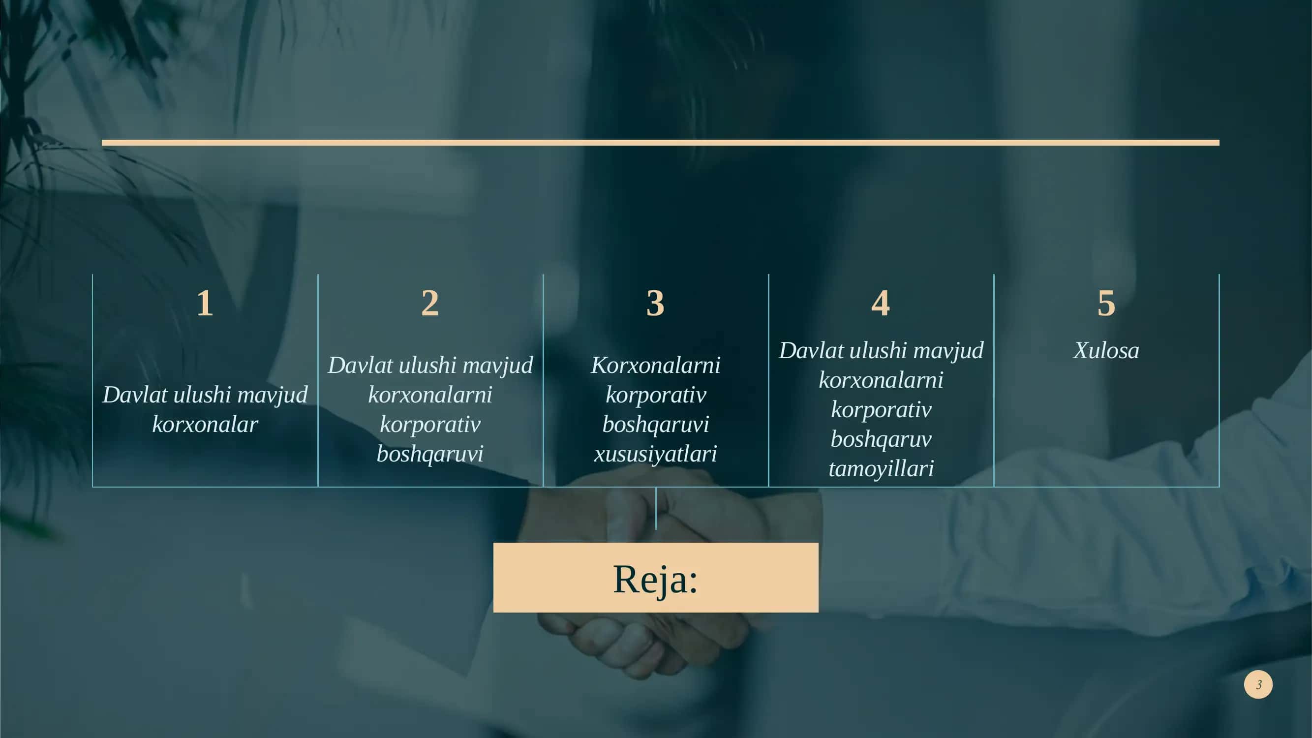 Davlat ulushi mavjud korxonalar uchun korporativ boshqaruvning xususiyatlari 3