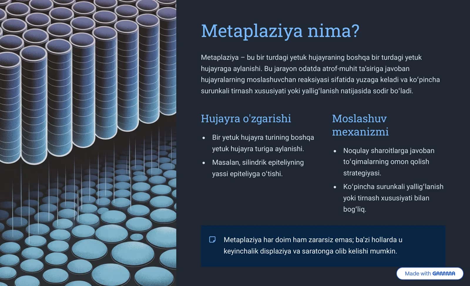 Gipirplaziya va Metaplaziya: Tushunchalar va Tafovutlar 3