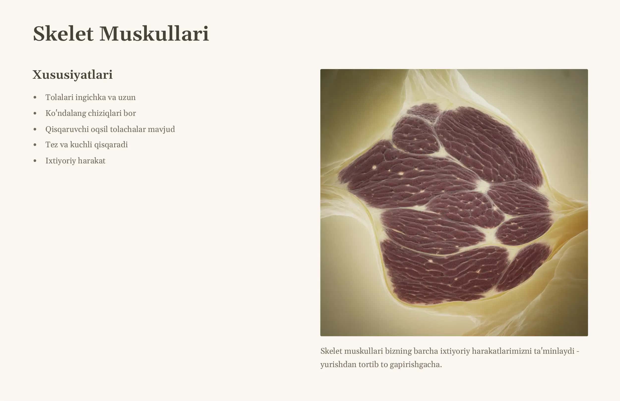 Muskullar: Harakatning Asosi 3