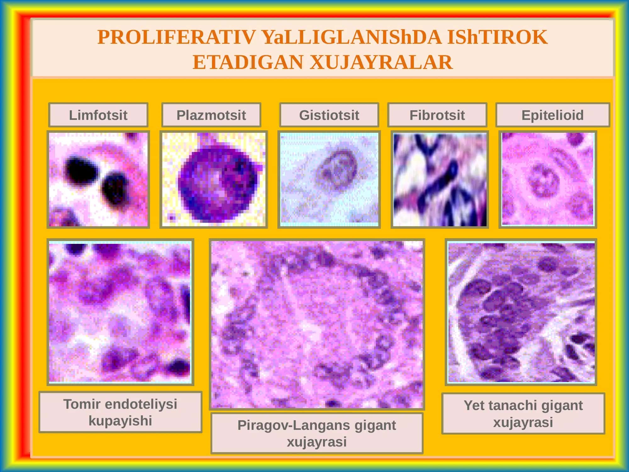 Surunkali produktiv yallig’lanish. Proliferativ yallig’lanish turlari, morfologik belgilari, oқibatlari 3