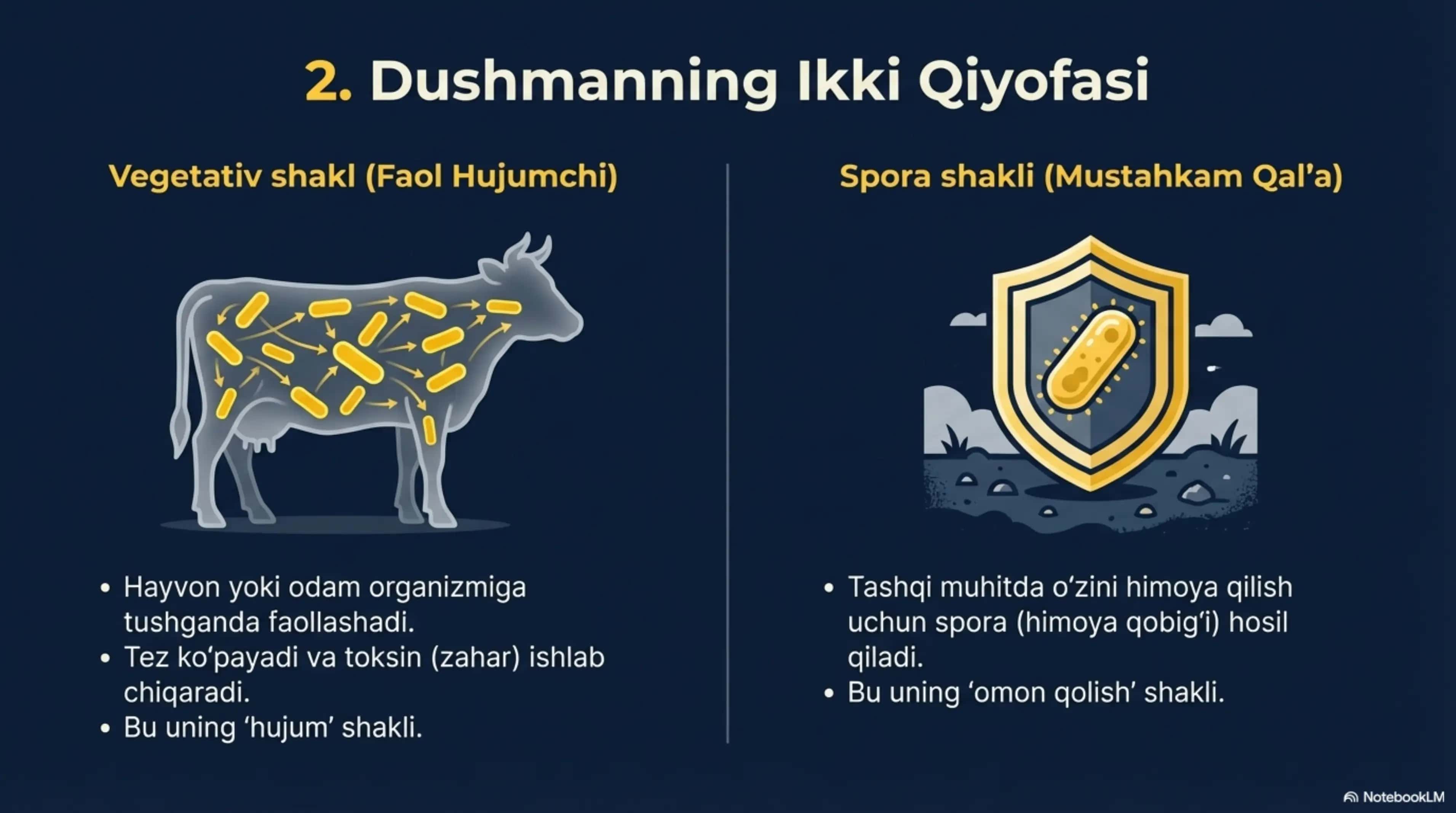 Jarohat orqali yuqadigan kasalliklar. Kuydirgi, qoqshol, quturish 3