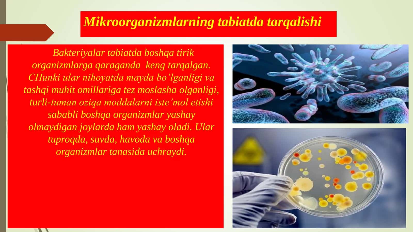 BIOSFERA VA MIKROORGANIZMLAR EKOLOGIYASI 3