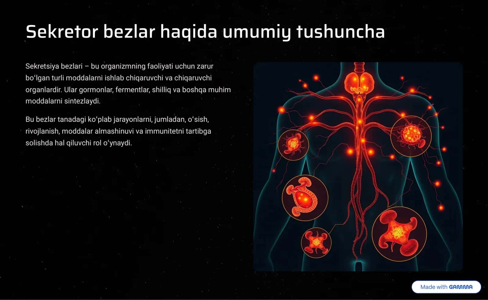 Sekretsiya bezlari va qalqonsimon bez: Tanamiz dirijyori 3