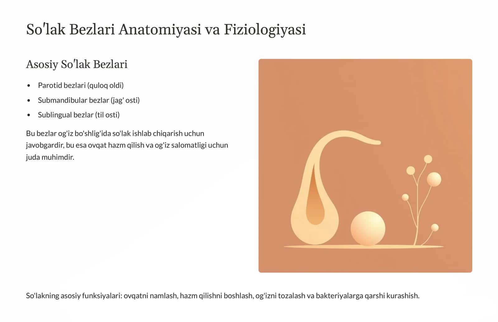Bosh-Bo'yin Kasalliklari: So'lak 3