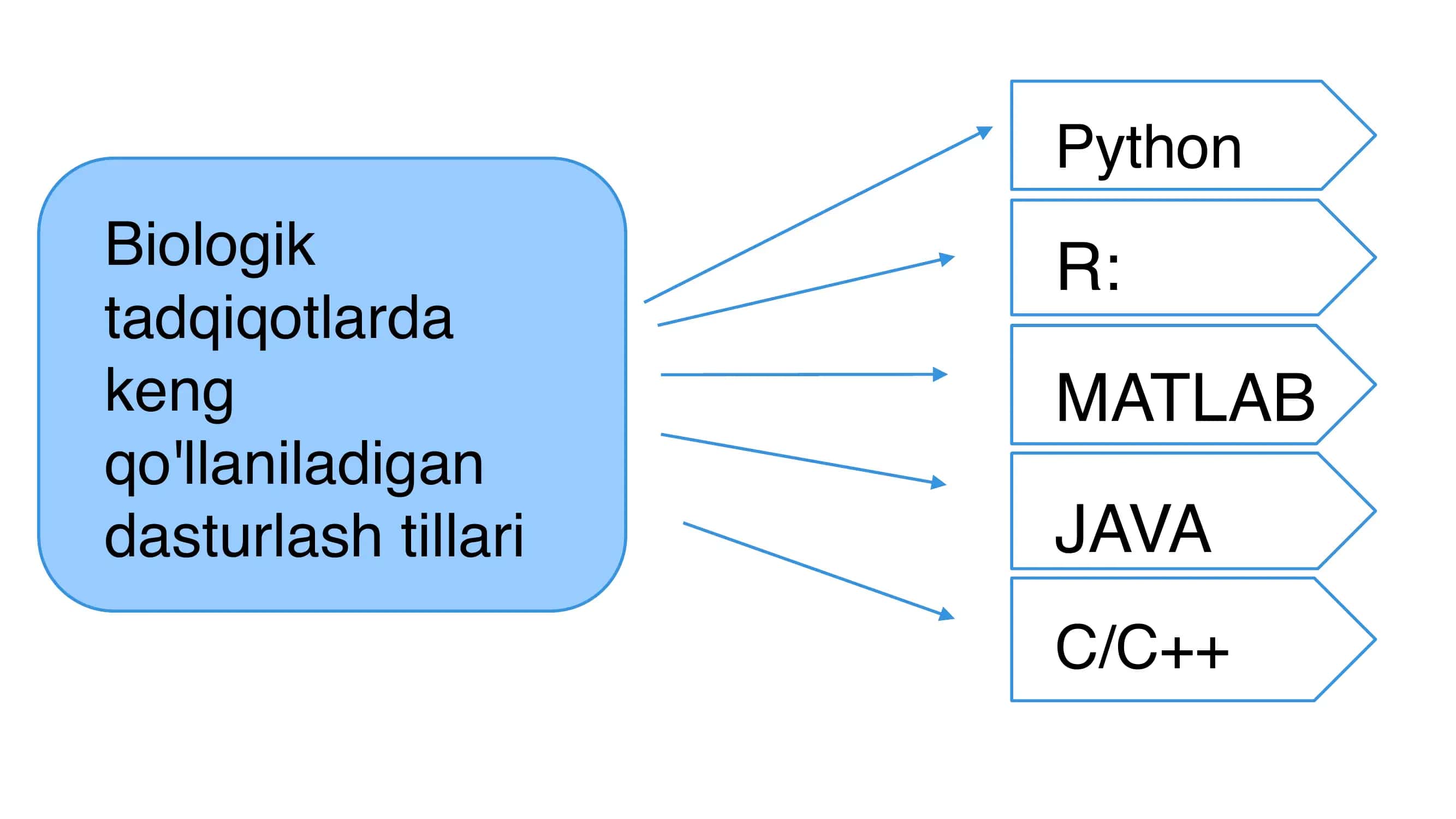 Biologik tadqiqotlar dasturlash tillari 3
