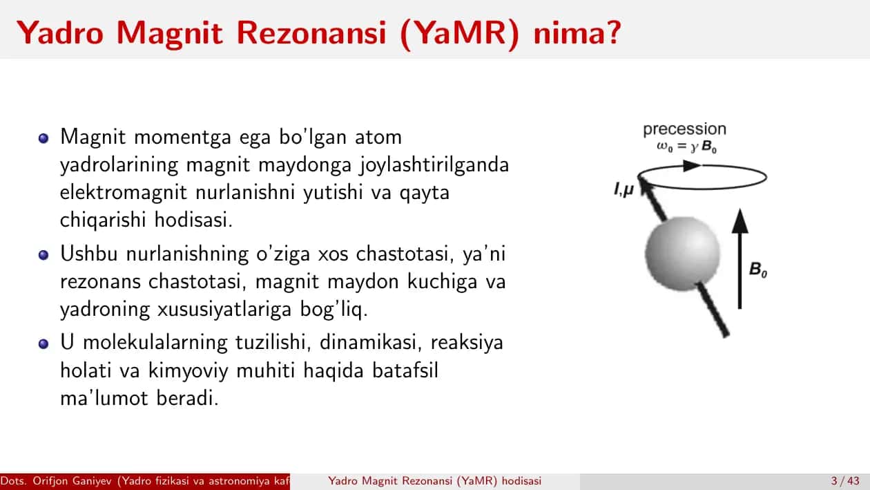 Yadro Magnit Rezonansi (YaMR) hodisasi 3