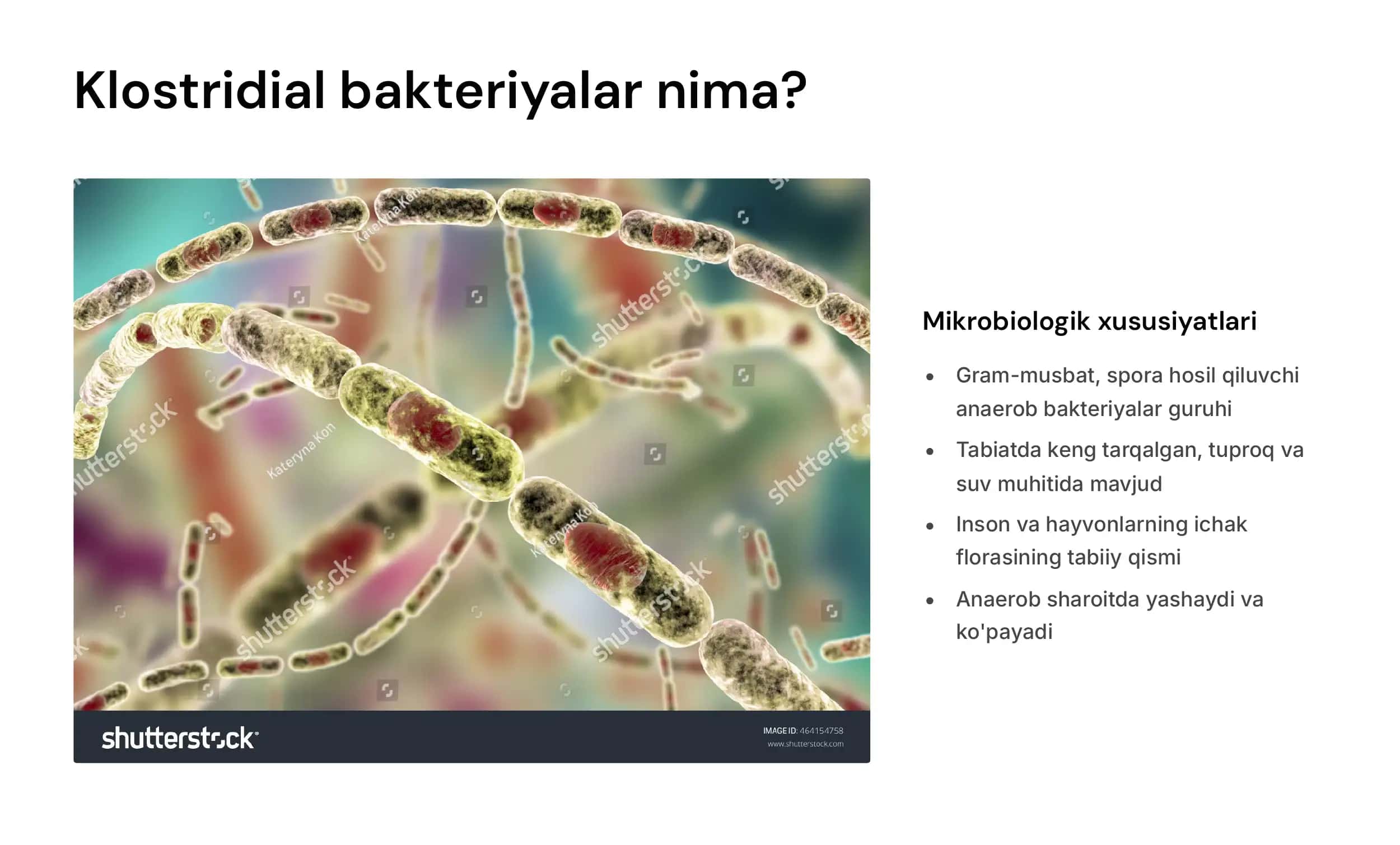 Klostridial va noklostridial infektsiyalar va  ularning tibbiyotdagi ahamiyati. 3