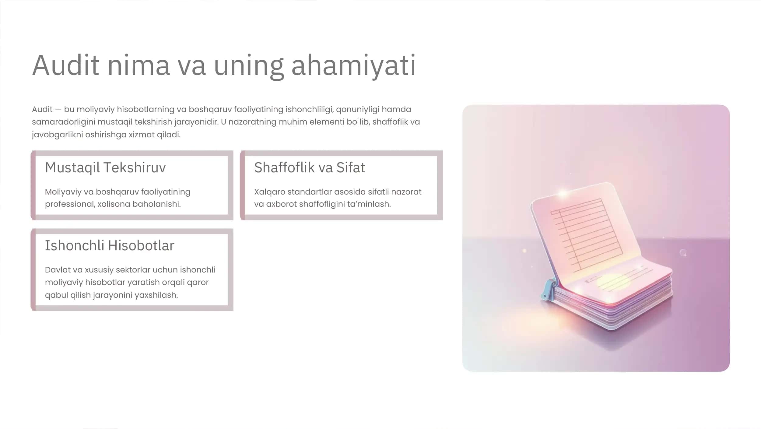 AUDITGA UMUMIY TAVSIF 3
