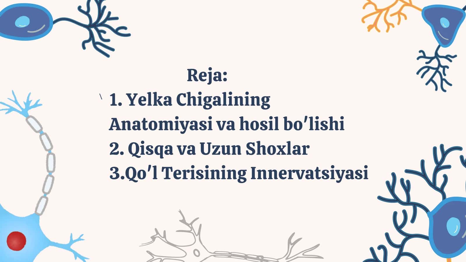 Elka chigalining hosil bo‘lishi va uning qisqa shoxlari. Elkachigalining uzun shoxlari. Qo‘l terisining innervatsiyasi 3