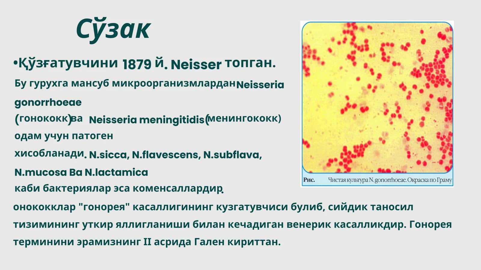 Teri tanosil yuqumli kasallik qo’zg’atuvchilari. Zaxm, so’zak, xlamidioz kasalliklarini qo’zg’atuvchilarini laboratoriya tashxisi 3