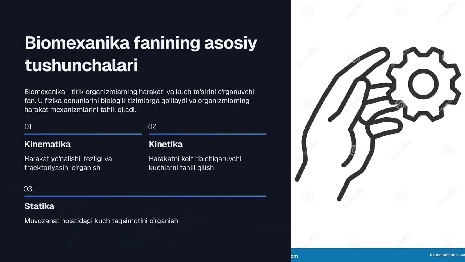 Pastki jag‘ xarakati biomexanikasi 3