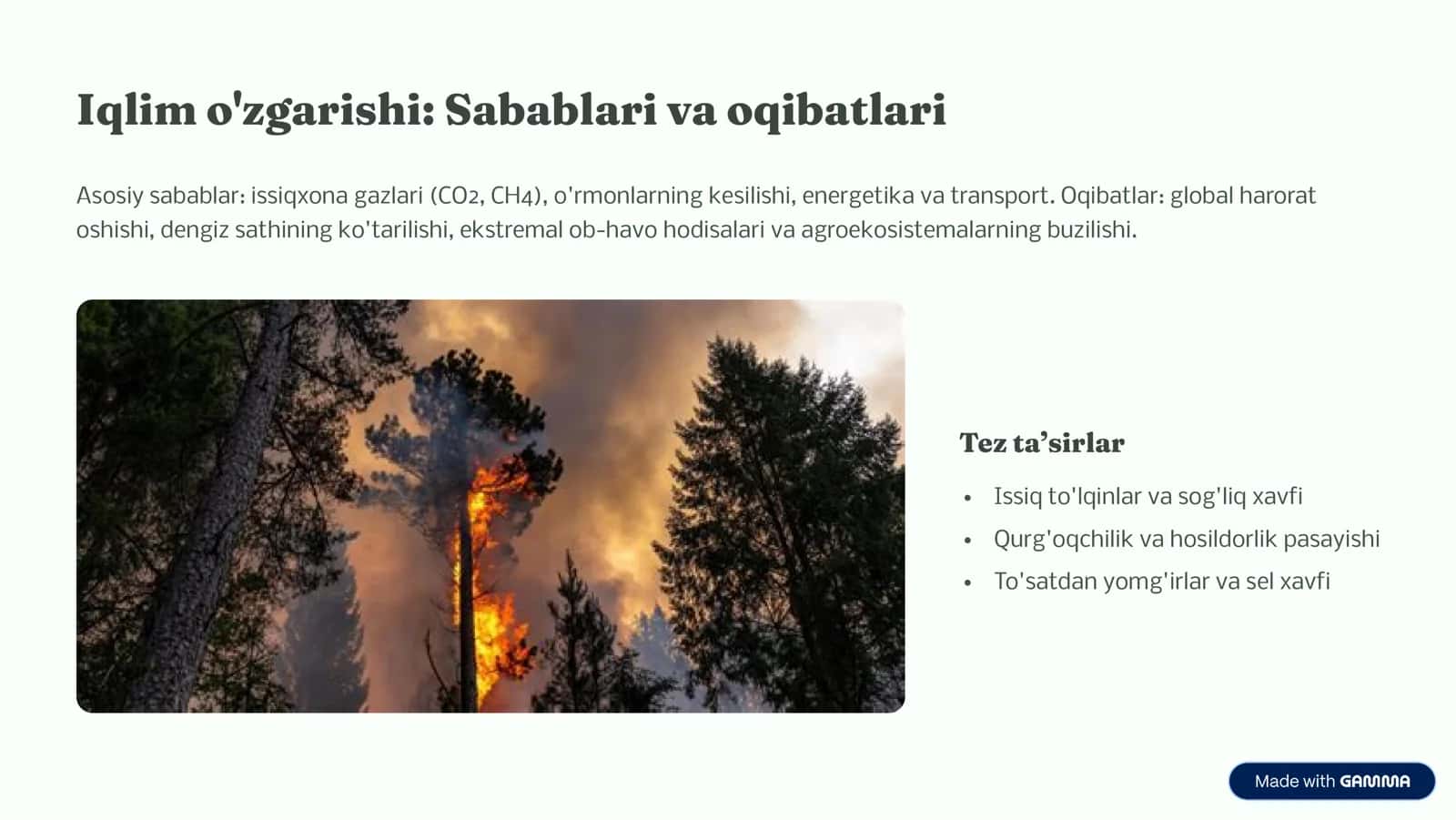 Tabiatga Ta'asiri va Javobi 3