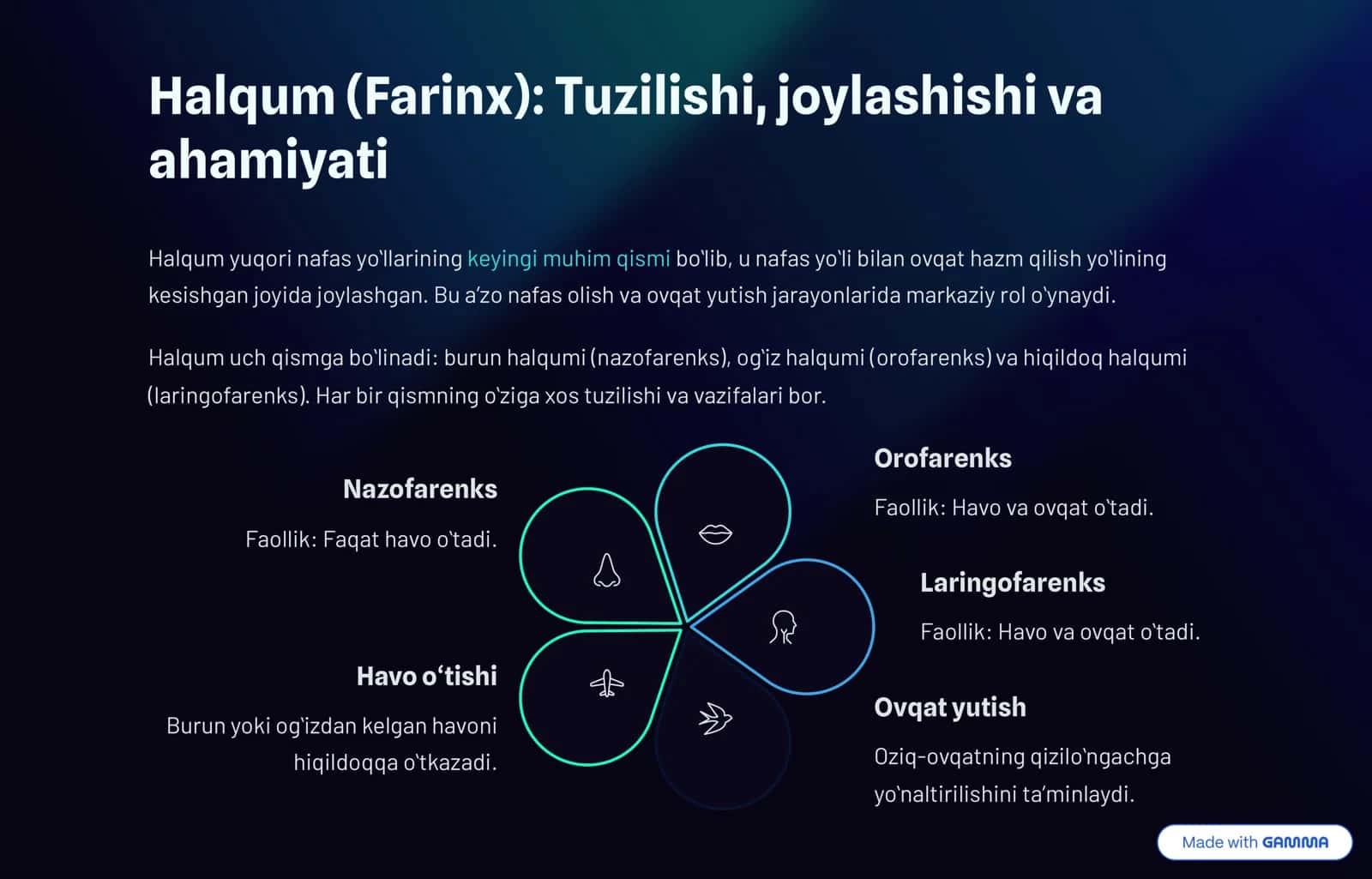 Nafas olish tizimi va uning funksiyalari 3