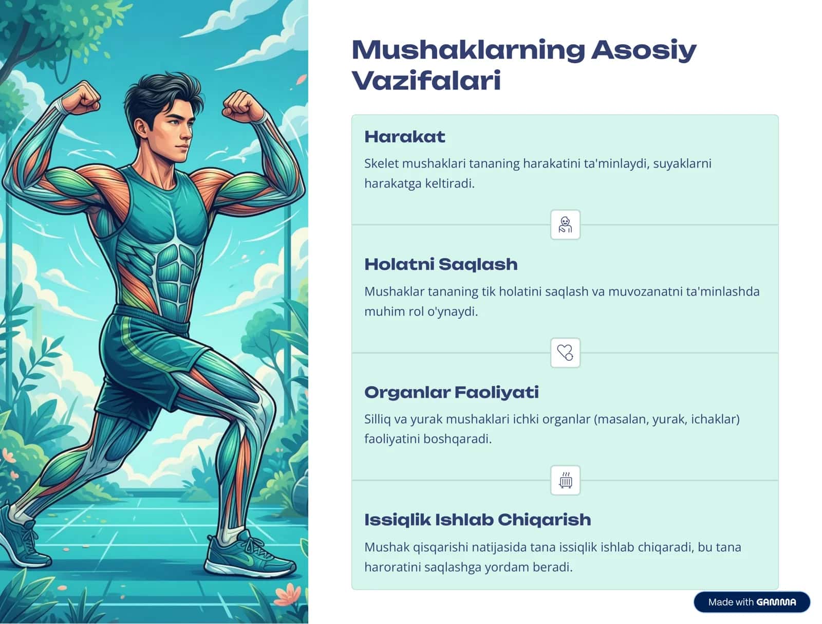 Mushaklar: Tana, Harakatining Asosiy Mexanizmi 3