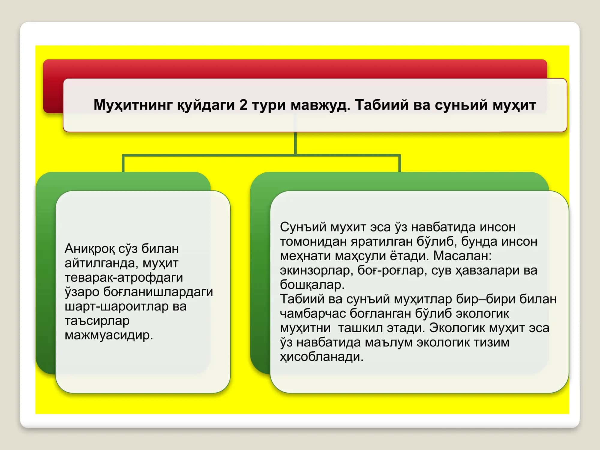 EKOLOGIK OMILLAR 3