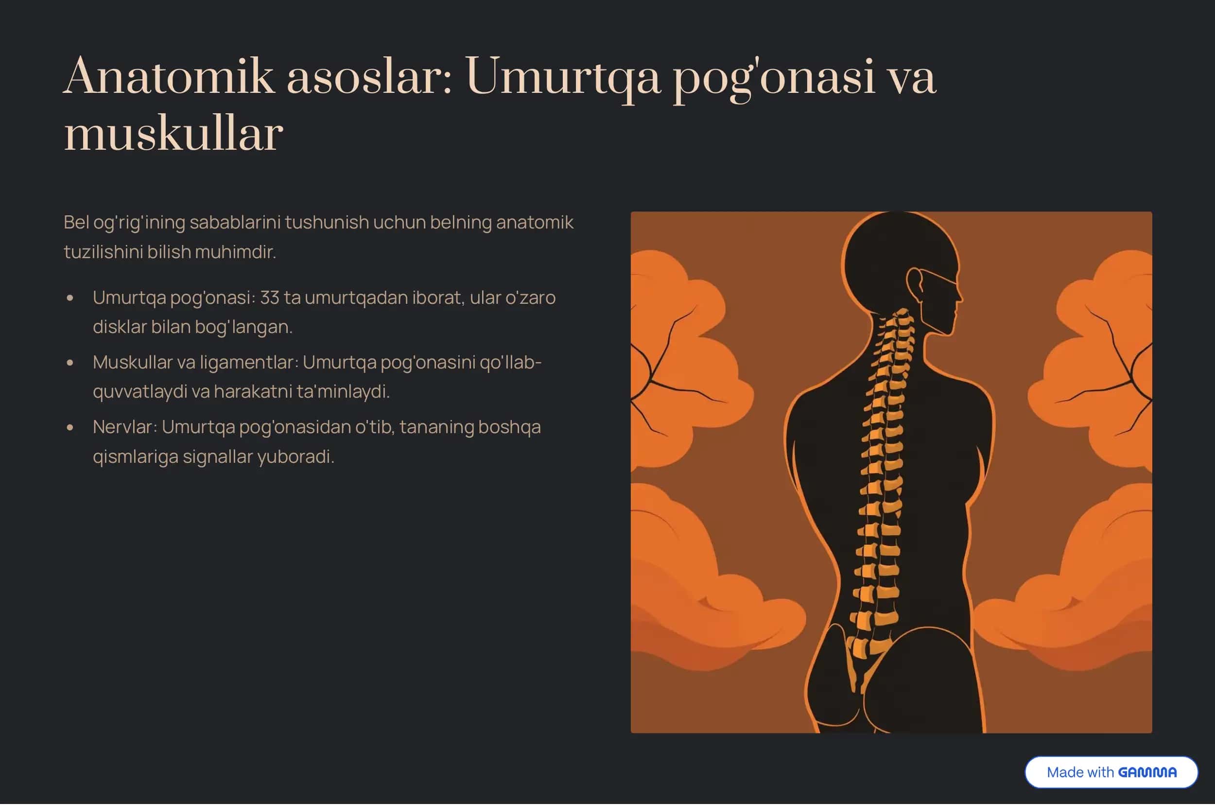 Bel og'rig'i: Sabablari, oldini olish va davolash 3