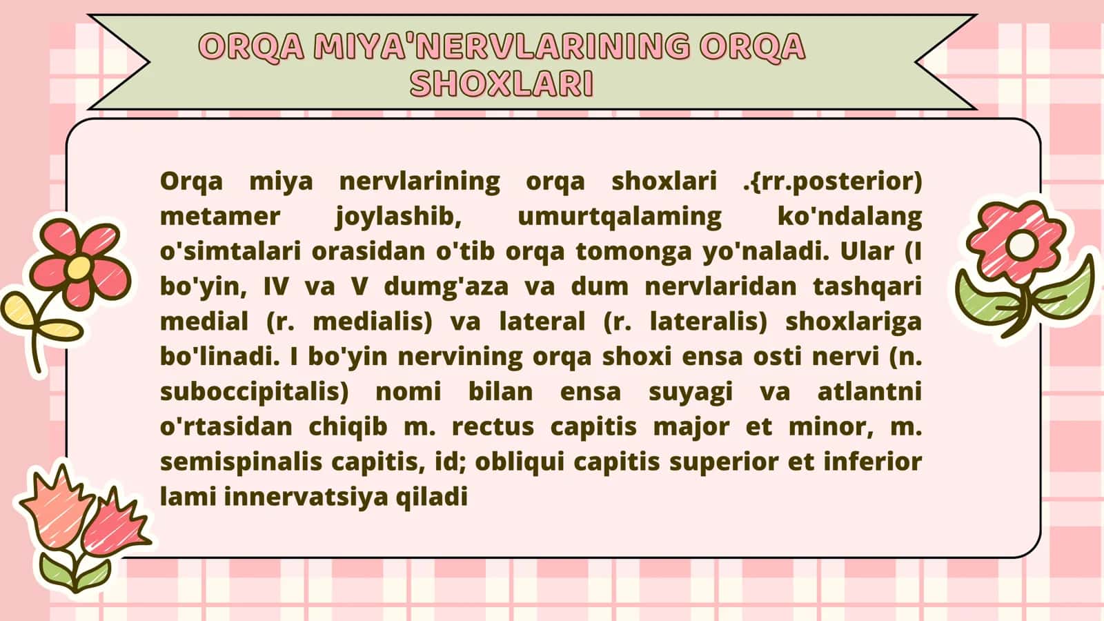 Orqa miya nervlari 3