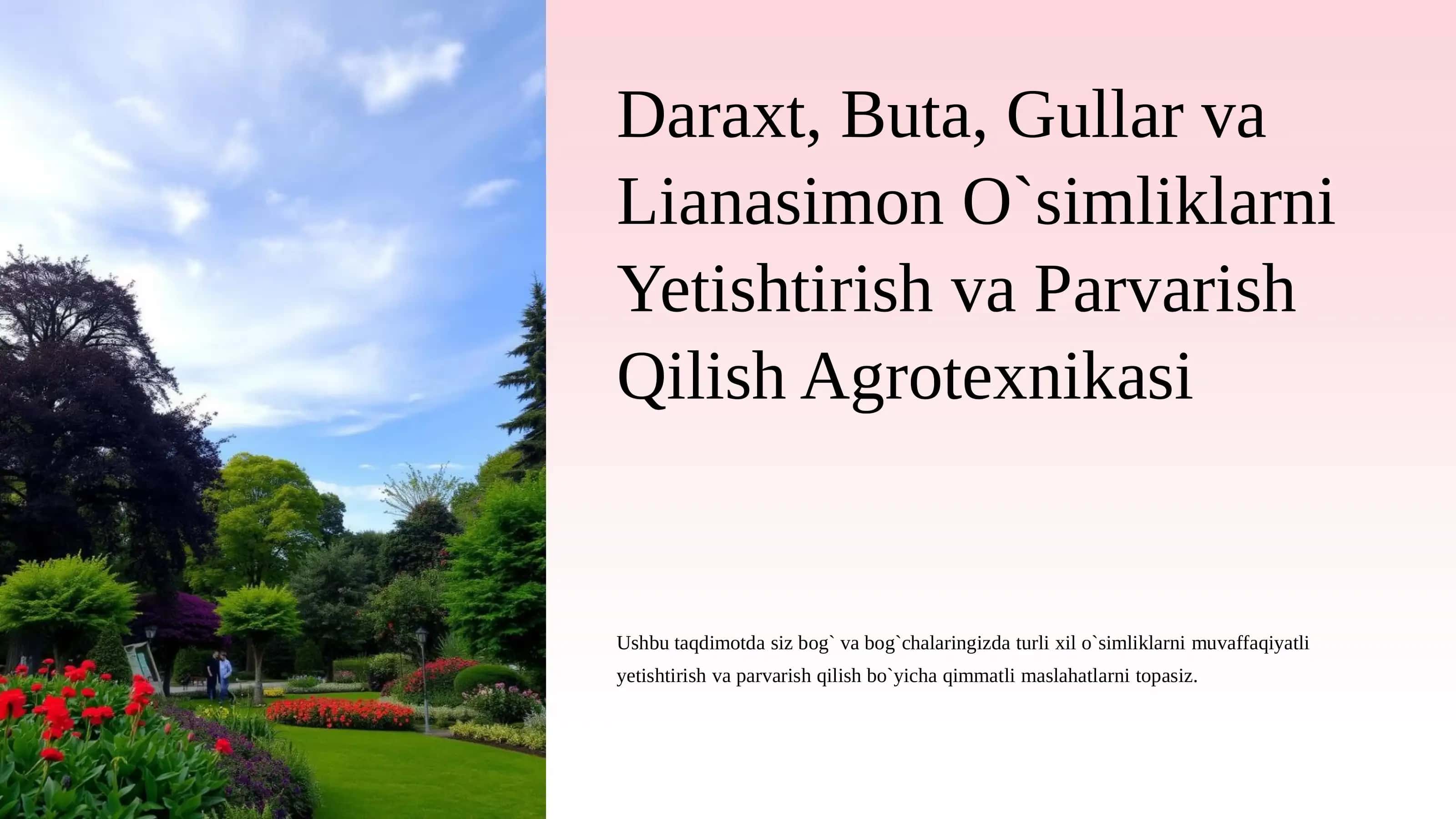 Daraxt, Buta, Gullar va Lianasimon O`simliklarni Yetishtirish va Parvarish Qilish Agrotexnikasi 3