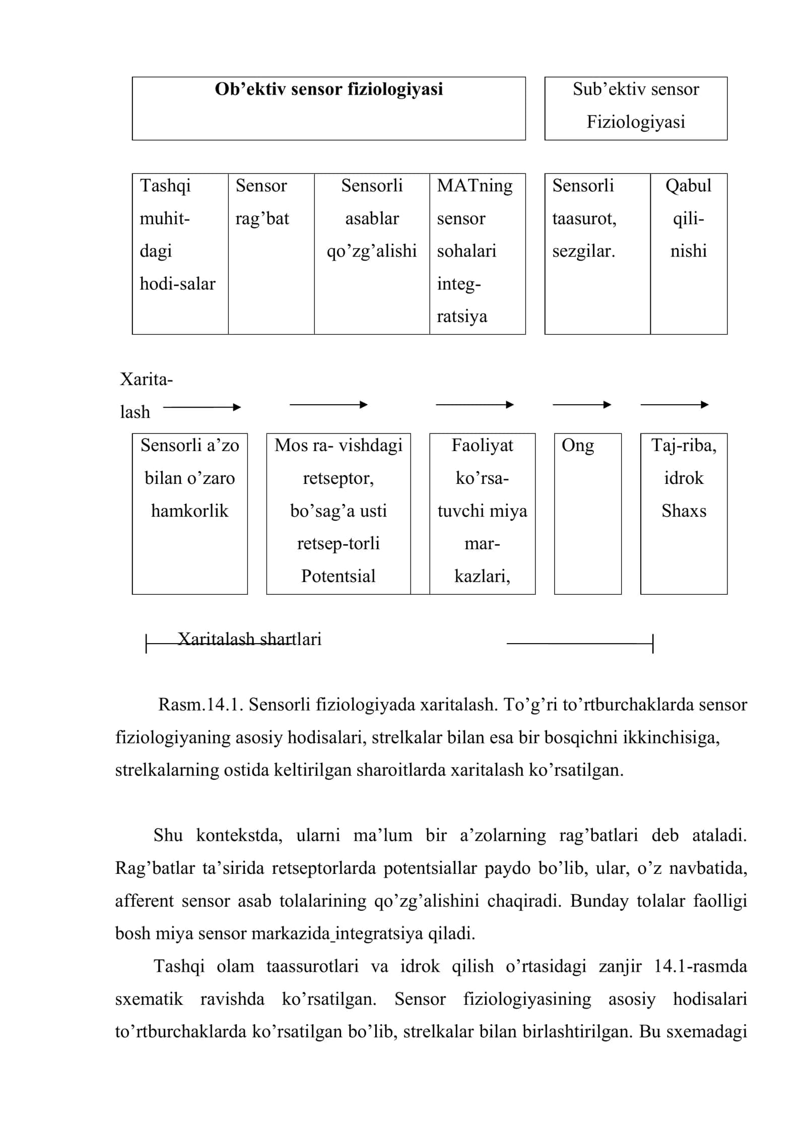 Sensor tizimlar (analizatorlar) fiziologiyasi 3